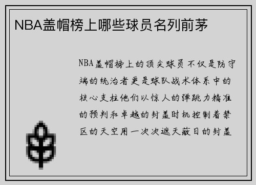 NBA盖帽榜上哪些球员名列前茅